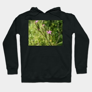 Pink Flower of Focus 1 Hoodie